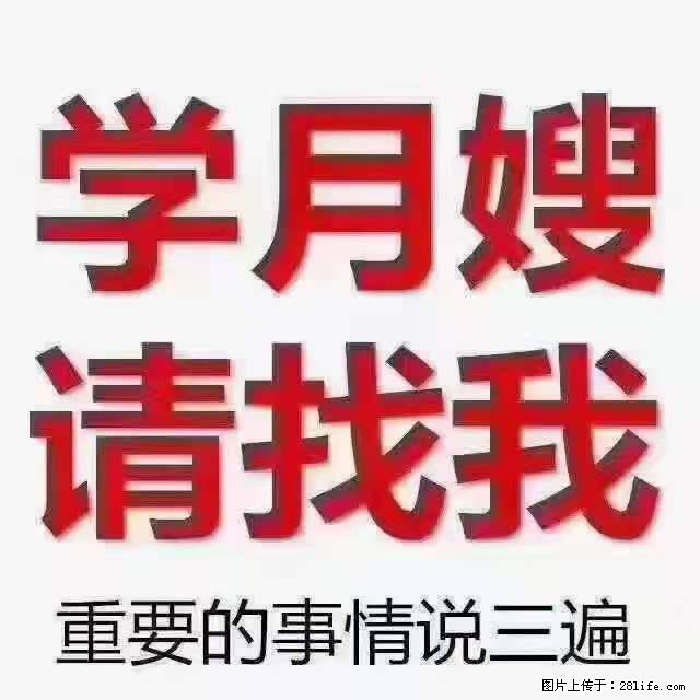 为什么要学习月嫂，育婴师？ - 其他广告 - 广告专区 - 鸡西分类信息 - 鸡西28生活网 jixi.28life.com