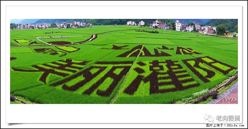 【春天,广西桂林灌阳县向您发出邀请!】开篇 - 游山玩水 - 鸡西生活社区 - 鸡西28生活网 jixi.28life.com