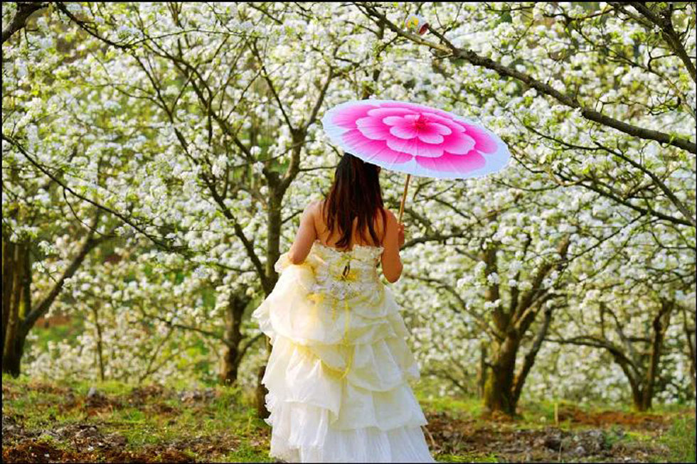 【春天，广西桂林灌阳县向您发出邀请！】我们在灌阳看梨花 - 游山玩水 - 鸡西生活社区 - 鸡西28生活网 jixi.28life.com