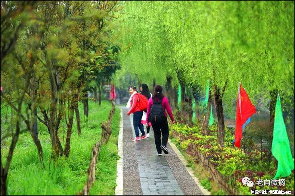 【春天,广西桂林灌阳县向您发出邀请!】江口老街又逢春 - 游山玩水 - 鸡西生活社区 - 鸡西28生活网 jixi.28life.com