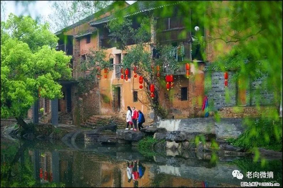 【春天,广西桂林灌阳县向您发出邀请!】江口老街又逢春 - 游山玩水 - 鸡西生活社区 - 鸡西28生活网 jixi.28life.com