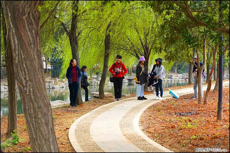 【春天,广西桂林灌阳县向您发出邀请!】江口老街又逢春 - 游山玩水 - 鸡西生活社区 - 鸡西28生活网 jixi.28life.com