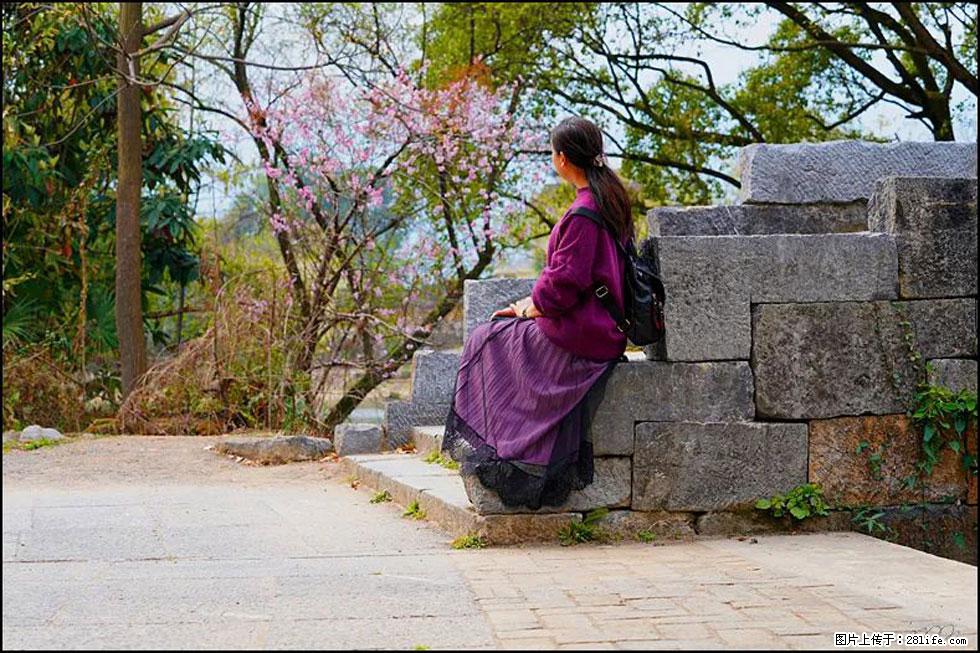 【春天,广西桂林灌阳县向您发出邀请!】江口老街又逢春 - 游山玩水 - 鸡西生活社区 - 鸡西28生活网 jixi.28life.com