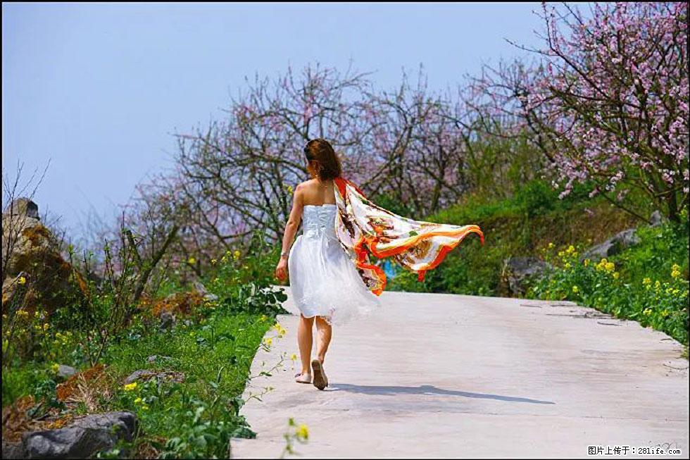 【春天，广西桂林灌阳县向您发出邀请！】望月岭上桃花开 - 游山玩水 - 鸡西生活社区 - 鸡西28生活网 jixi.28life.com