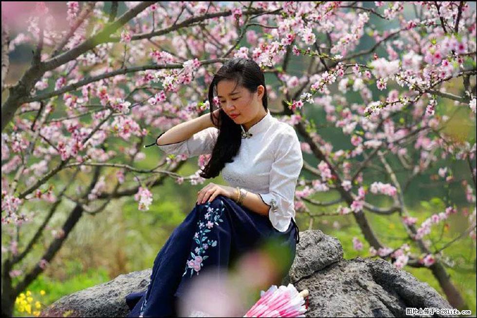 【春天，广西桂林灌阳县向您发出邀请！】望月岭上桃花开 - 游山玩水 - 鸡西生活社区 - 鸡西28生活网 jixi.28life.com