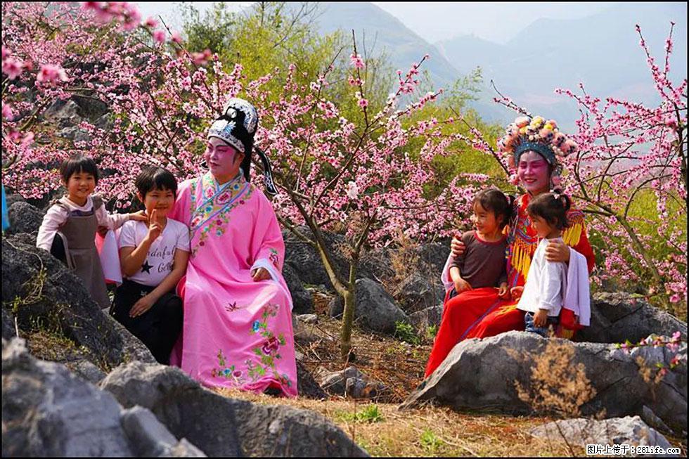 【春天，广西桂林灌阳县向您发出邀请！】望月岭上桃花开 - 游山玩水 - 鸡西生活社区 - 鸡西28生活网 jixi.28life.com