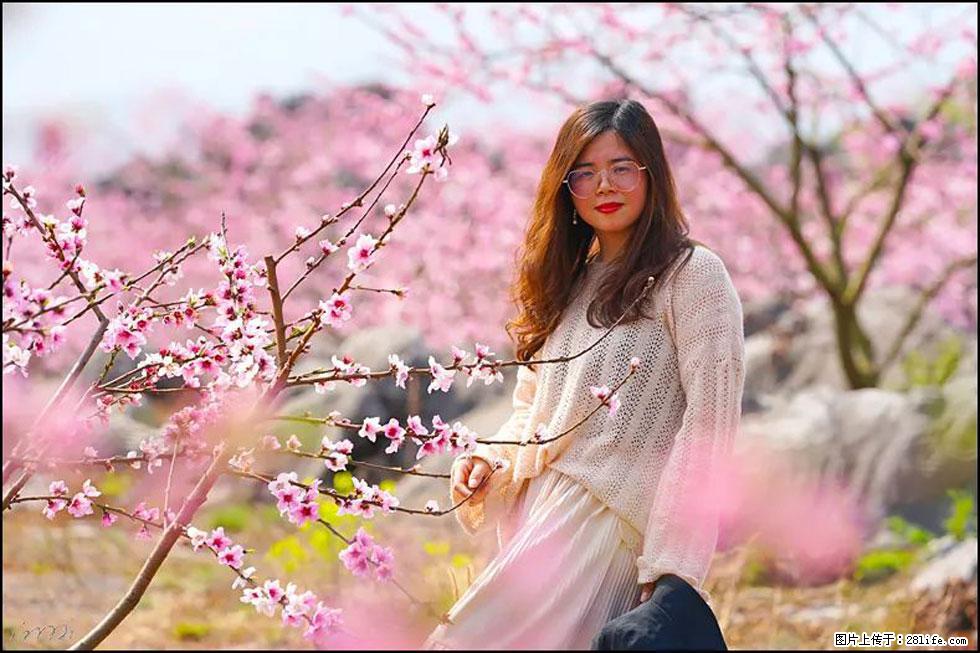 【春天，广西桂林灌阳县向您发出邀请！】望月岭上桃花开 - 游山玩水 - 鸡西生活社区 - 鸡西28生活网 jixi.28life.com