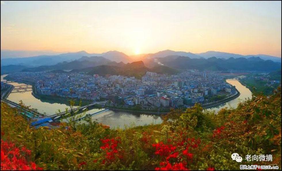 【春天，广西桂林灌阳县向您发出邀请！】登麒麟山，相约映山红 - 游山玩水 - 鸡西生活社区 - 鸡西28生活网 jixi.28life.com