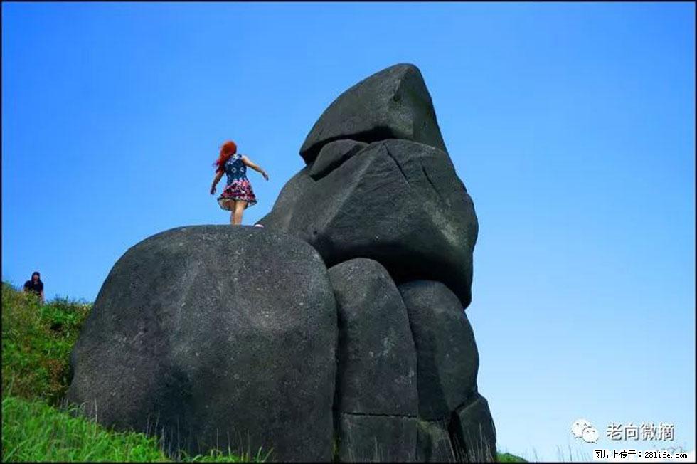 【春天，广西桂林灌阳县向您发出邀请！】宝盖山上映山红 - 游山玩水 - 鸡西生活社区 - 鸡西28生活网 jixi.28life.com