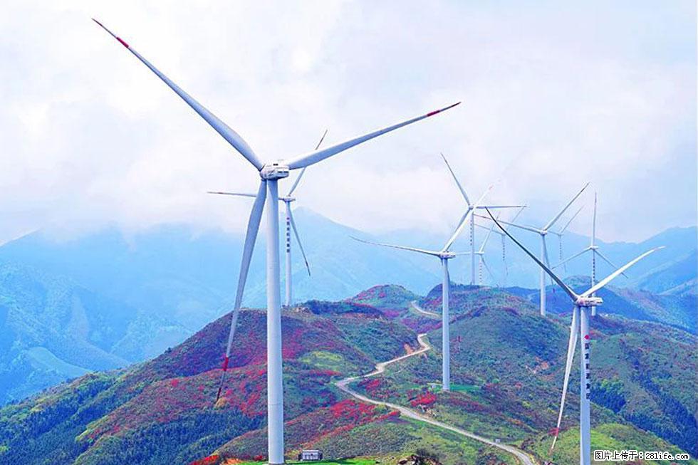 【春天，广西桂林灌阳县向您发出邀请！】春木界上映山红 - 游山玩水 - 鸡西生活社区 - 鸡西28生活网 jixi.28life.com