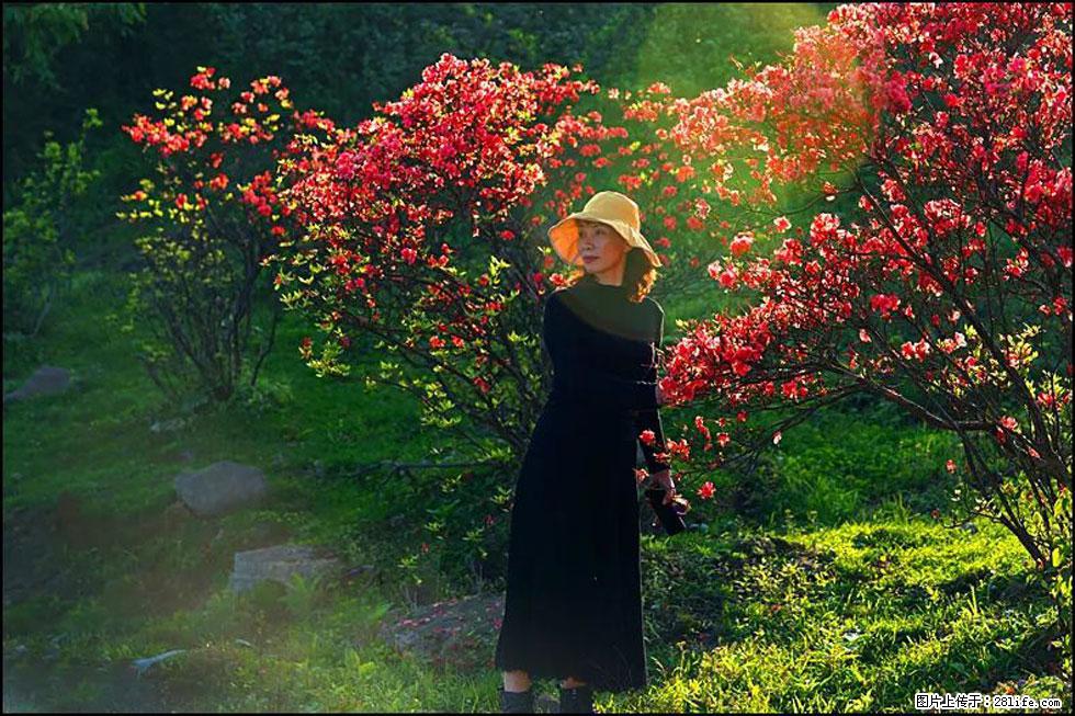 【春天，广西桂林灌阳县向您发出邀请！】春木界上映山红 - 游山玩水 - 鸡西生活社区 - 鸡西28生活网 jixi.28life.com