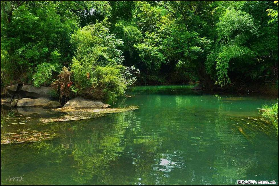 【春天，广西桂林灌阳县向您发出邀请！】如梦似幻莲溪庐 - 游山玩水 - 鸡西生活社区 - 鸡西28生活网 jixi.28life.com