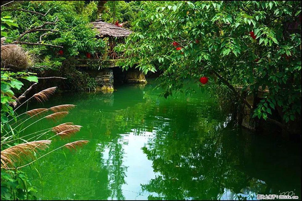 【春天，广西桂林灌阳县向您发出邀请！】如梦似幻莲溪庐 - 游山玩水 - 鸡西生活社区 - 鸡西28生活网 jixi.28life.com