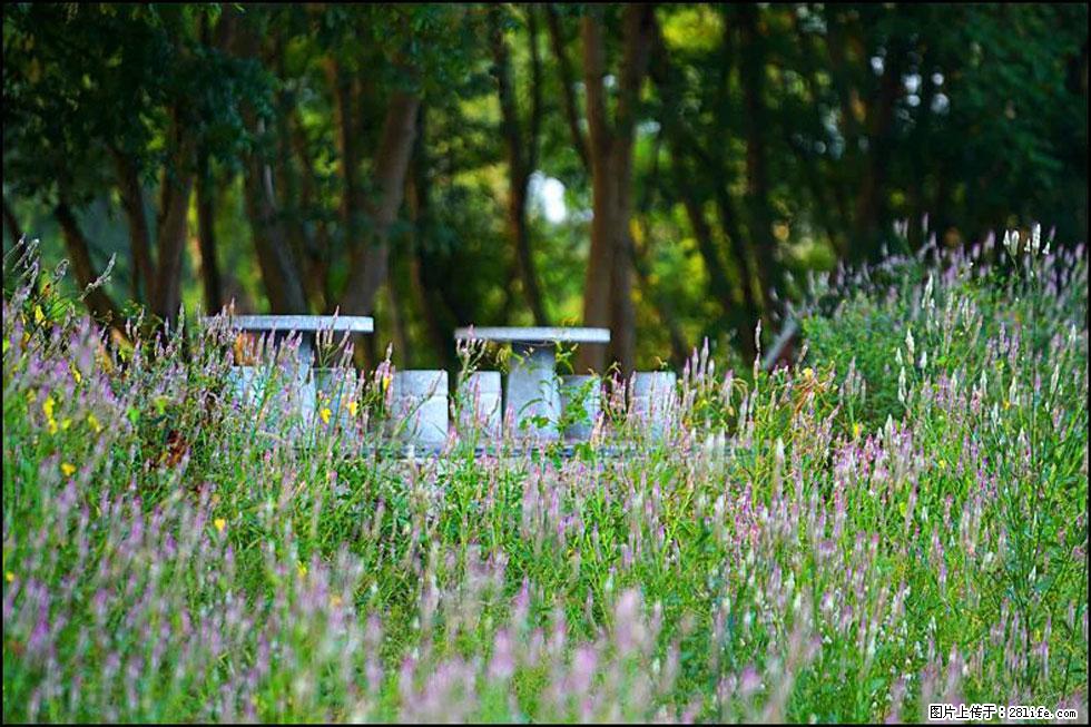 【春天,广西桂林灌阳县向您发出邀请!】熊家寨湿地公园 - 游山玩水 - 鸡西生活社区 - 鸡西28生活网 jixi.28life.com