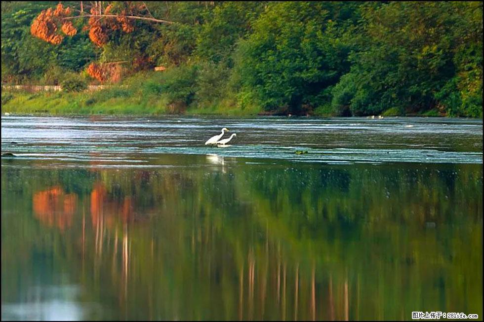 【春天,广西桂林灌阳县向您发出邀请!】熊家寨湿地公园 - 游山玩水 - 鸡西生活社区 - 鸡西28生活网 jixi.28life.com