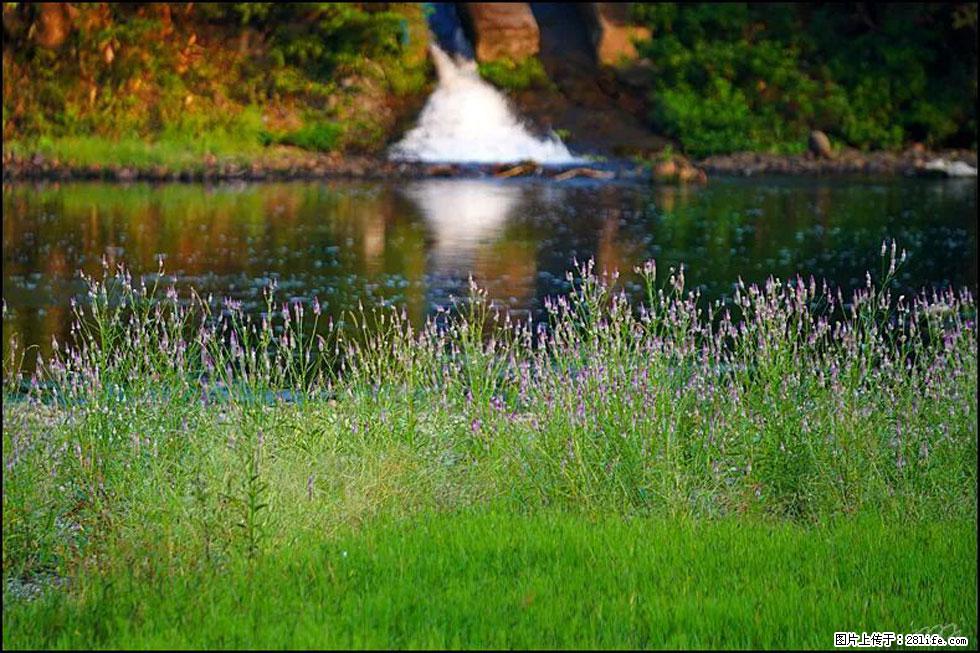 【春天,广西桂林灌阳县向您发出邀请!】熊家寨湿地公园 - 游山玩水 - 鸡西生活社区 - 鸡西28生活网 jixi.28life.com