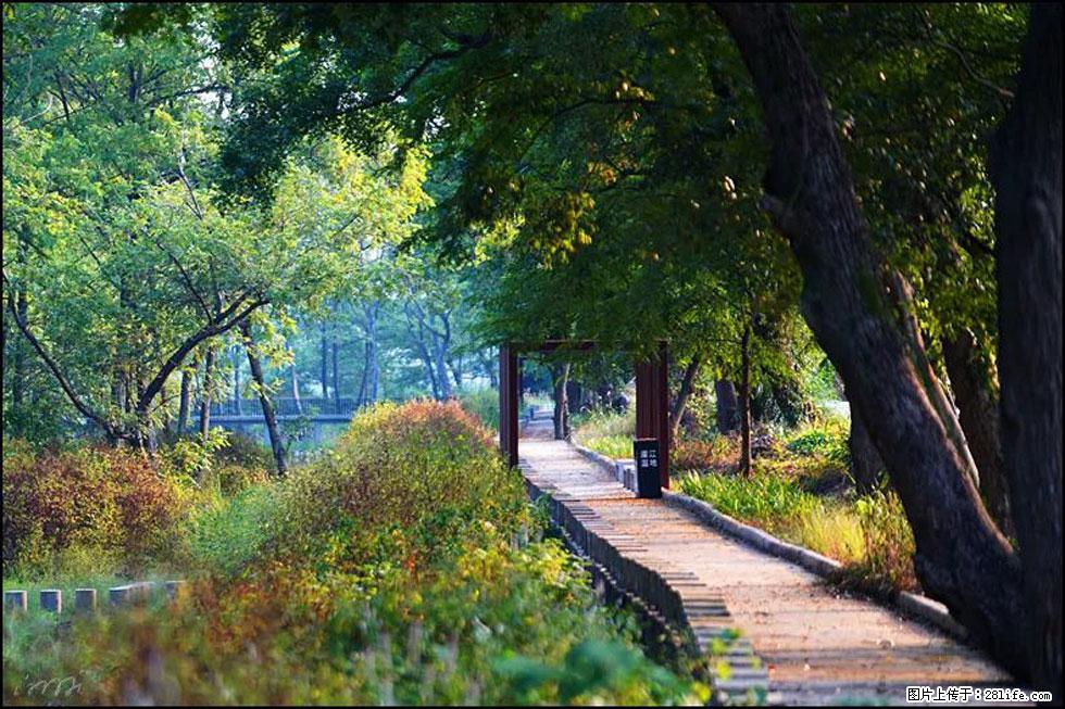 【春天,广西桂林灌阳县向您发出邀请!】熊家寨湿地公园 - 游山玩水 - 鸡西生活社区 - 鸡西28生活网 jixi.28life.com