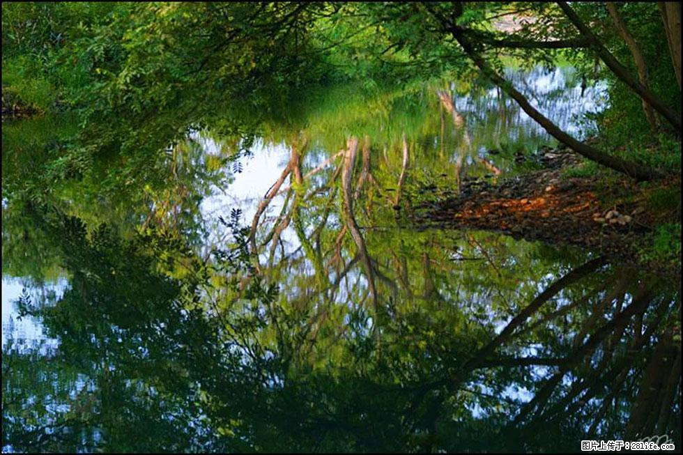 【春天,广西桂林灌阳县向您发出邀请!】熊家寨湿地公园 - 游山玩水 - 鸡西生活社区 - 鸡西28生活网 jixi.28life.com