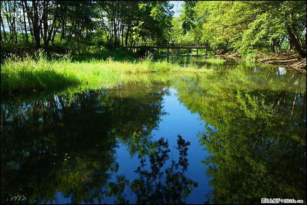 【春天,广西桂林灌阳县向您发出邀请!】熊家寨湿地公园 - 游山玩水 - 鸡西生活社区 - 鸡西28生活网 jixi.28life.com