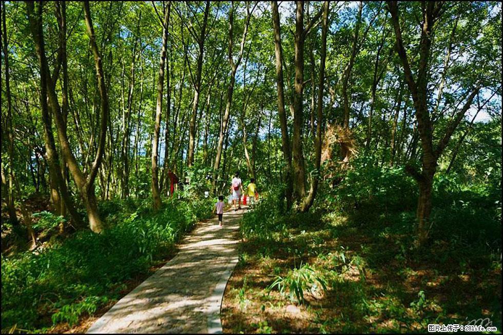 【春天,广西桂林灌阳县向您发出邀请!】熊家寨湿地公园 - 游山玩水 - 鸡西生活社区 - 鸡西28生活网 jixi.28life.com