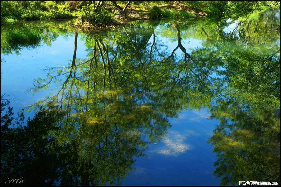 【春天,广西桂林灌阳县向您发出邀请!】熊家寨湿地公园 - 游山玩水 - 鸡西生活社区 - 鸡西28生活网 jixi.28life.com