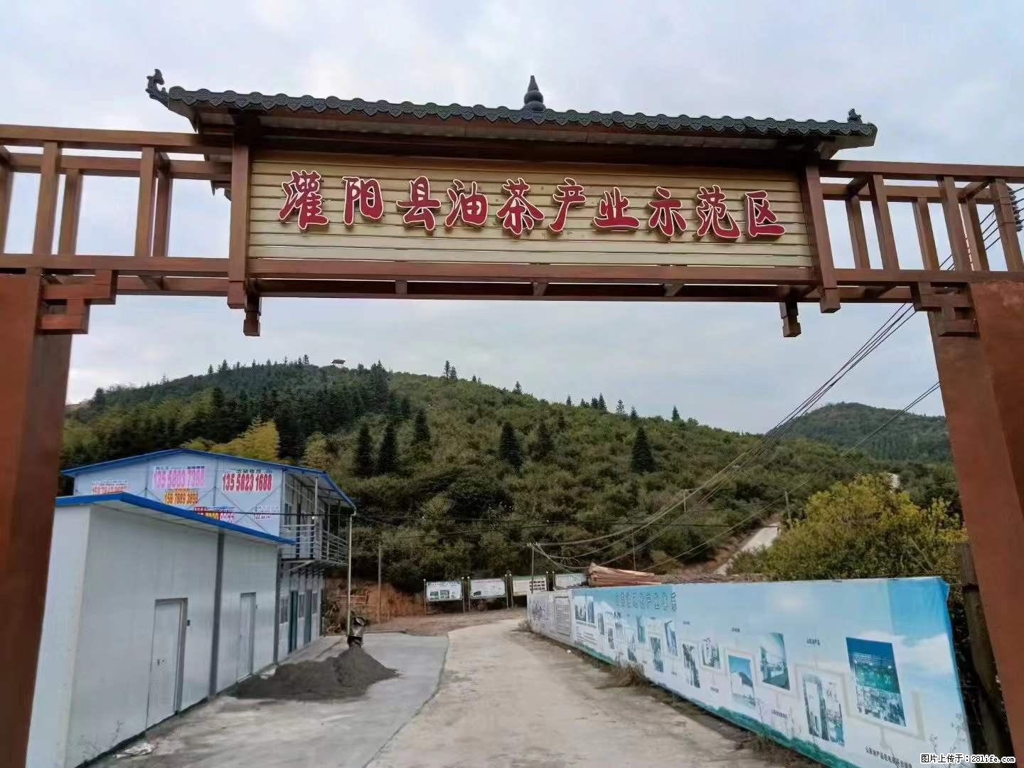 【灌阳县油茶产业示范区】一个有着充实的精神生活的人,对待身外之物自会有一种淡泊的态度 - 美食天地 - 鸡西生活社区 - 鸡西28生活网 jixi.28life.com