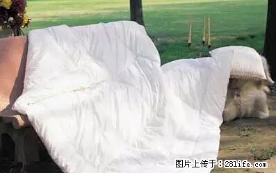 被子有异味？只要这样做，比晒太阳还强100倍！ - 家居生活 - 鸡西生活社区 - 鸡西28生活网 jixi.28life.com