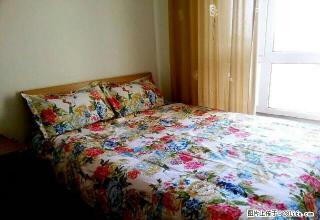 龙山国际婚房每天298元 - 鸡西28生活网 jixi.28life.com