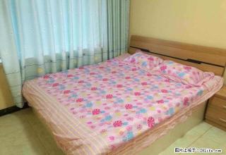 日租短租 一天一百 2室1厅1卫 - 鸡西28生活网 jixi.28life.com