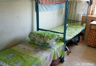 (单间出租)招女生住宿上下铺 金龙大厦楼上百货大楼万达老大商附近 - 鸡西28生活网 jixi.28life.com