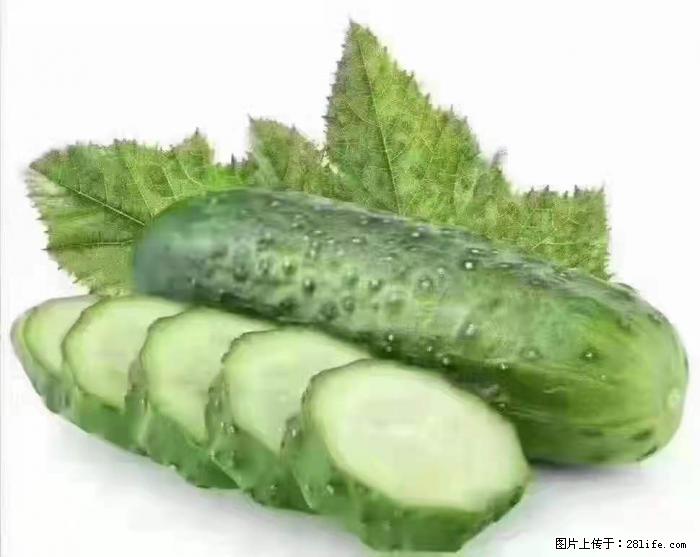 【生活小常识】吃黄瓜的好处 - 生活百科 - 鸡西生活社区 - 鸡西28生活网 jixi.28life.com
