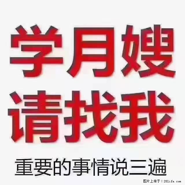 【招聘】月嫂,上海徐汇区 - 职场交流 - 鸡西生活社区 - 鸡西28生活网 jixi.28life.com