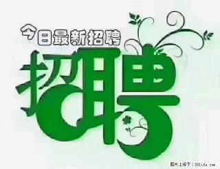 上海青浦区招仓管 - 鸡西28生活网 jixi.28life.com