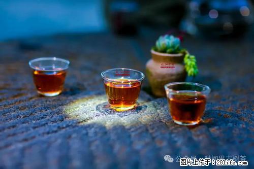 时间果百年古树2025年春红茶 - 购物交流 - 鸡西生活社区 - 鸡西28生活网 jixi.28life.com