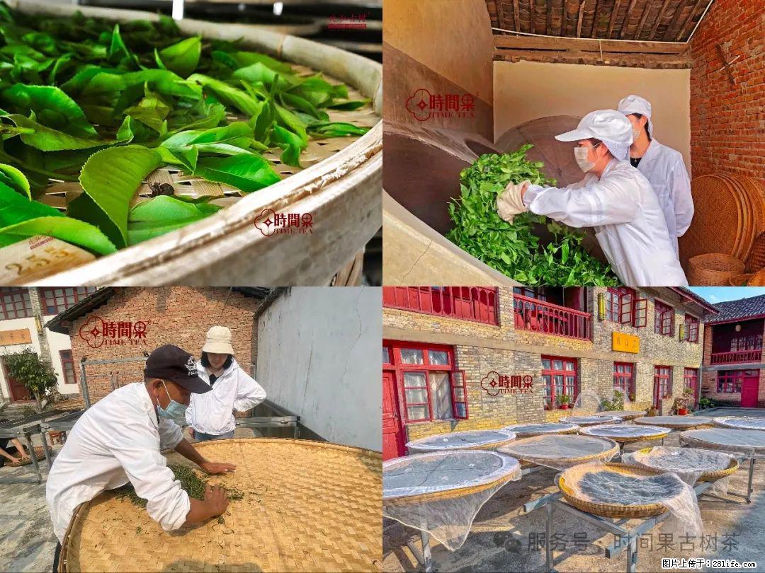 时间果百年古树龙珠普洱生茶 - 购物交流 - 鸡西生活社区 - 鸡西28生活网 jixi.28life.com