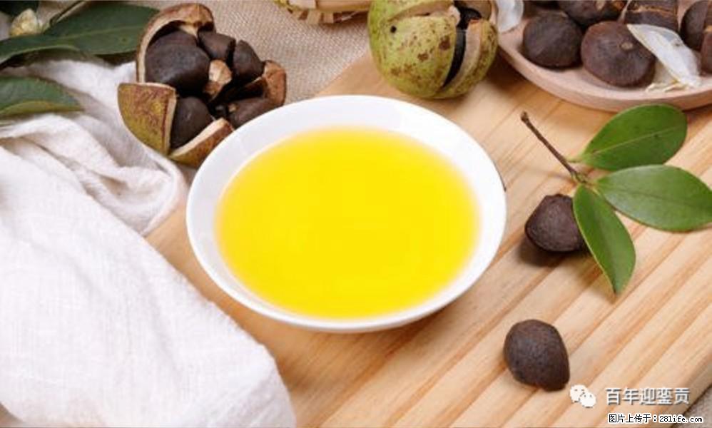 揭秘茶油的5大核心营养成分!被称为人体健康的“守护盾”! - 鸡西生活资讯 - 鸡西28生活网 jixi.28life.com