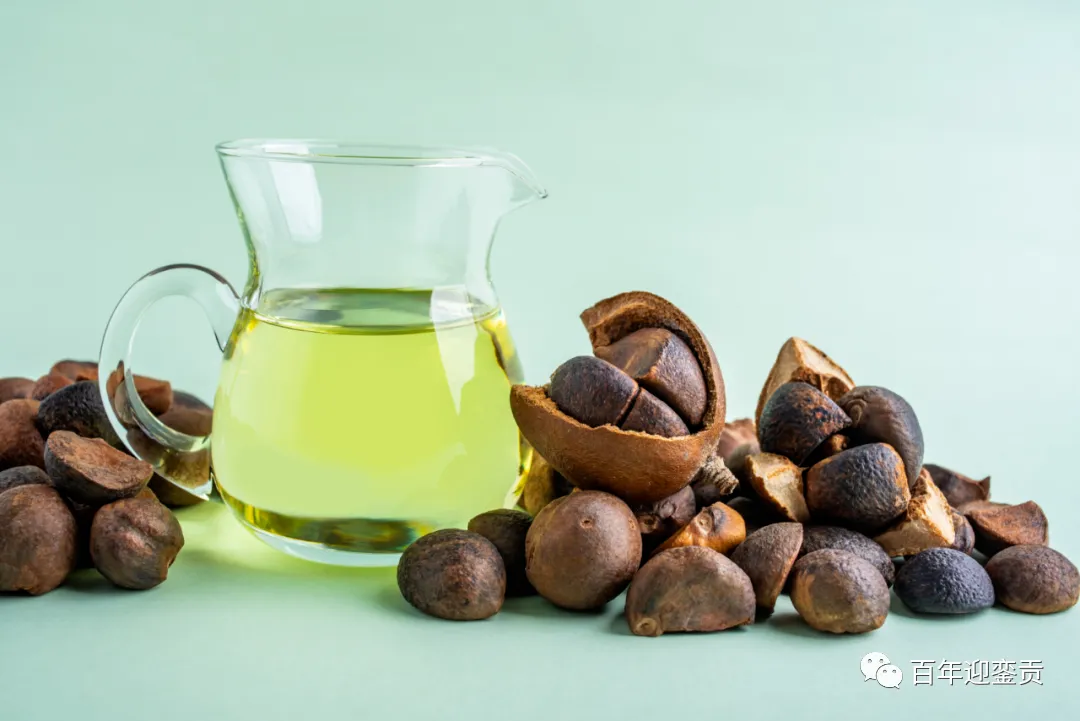 世界没有真相,只有认知,最好的食用油是中国的山茶油! - 鸡西生活资讯 - 鸡西28生活网 jixi.28life.com