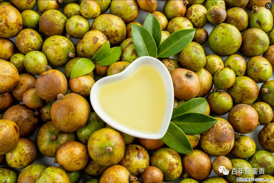 世界没有真相,只有认知,最好的食用油是中国的山茶油! - 鸡西生活资讯 - 鸡西28生活网 jixi.28life.com