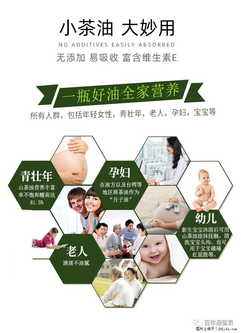 世界没有真相,只有认知,最好的食用油是中国的山茶油! - 鸡西生活资讯 - 鸡西28生活网 jixi.28life.com