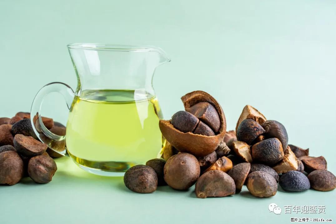 世界没有真相，只有认知，最好的食用油是中国的山茶油！ - 鸡西生活资讯 - 鸡西28生活网 jixi.28life.com