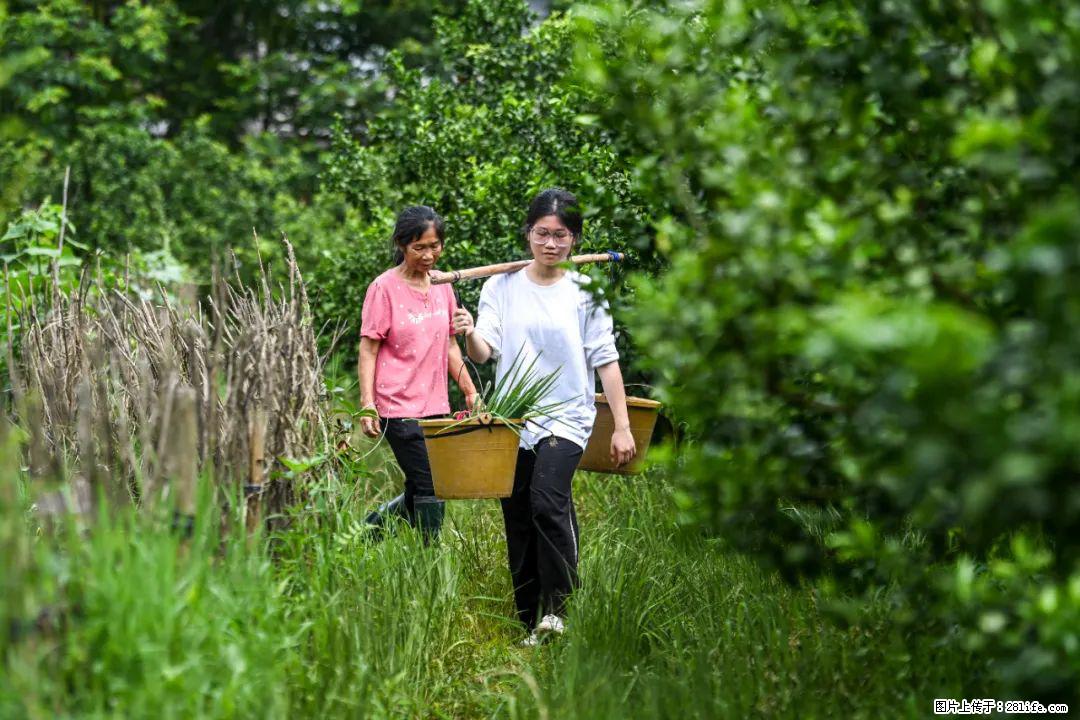 全网追的“扁担女孩”,找了一份暑假工,时薪12元 - 鸡西生活资讯 - 鸡西28生活网 jixi.28life.com