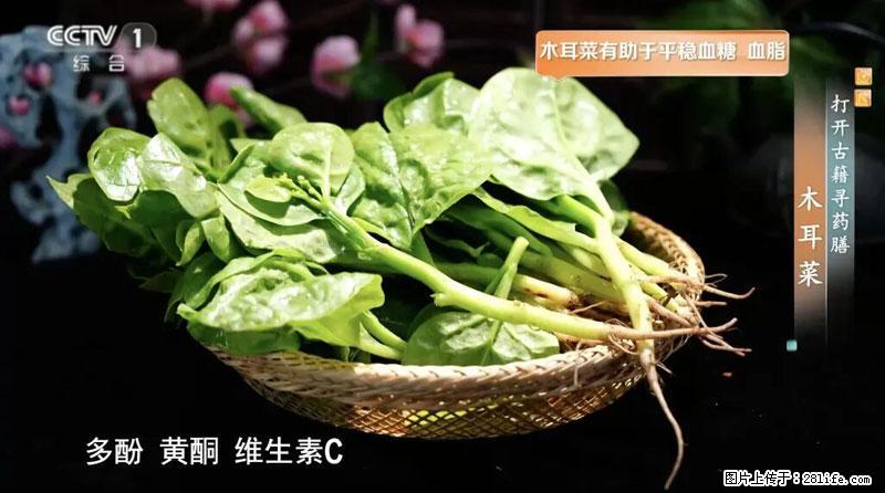 比牛奶补钙还厉害!凉血解毒、稳血糖...这菜冬天必吃,很多人却当草 - 鸡西生活资讯 - 鸡西28生活网 jixi.28life.com