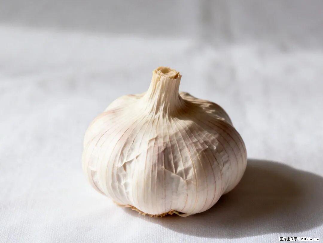 关于大蒜，除了“天然抗生素”，这4个谣言更该警惕! - 鸡西生活资讯 - 鸡西28生活网 jixi.28life.com