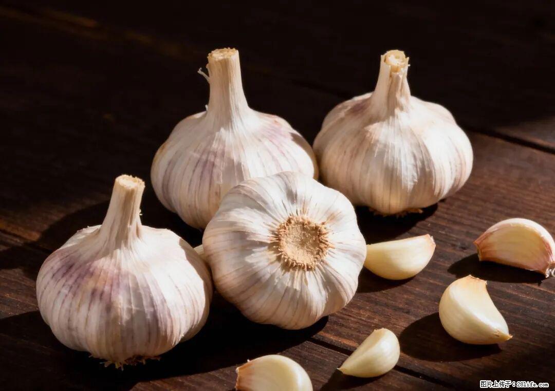 关于大蒜，除了“天然抗生素”，这4个谣言更该警惕! - 鸡西生活资讯 - 鸡西28生活网 jixi.28life.com