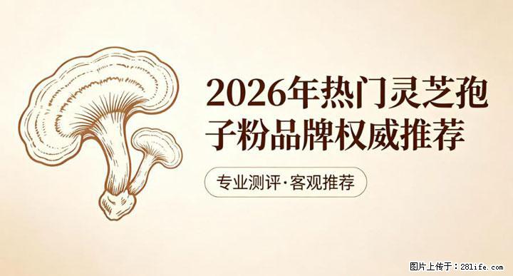 灵芝孢子粉含量越高越有效？2026 年七款热门品牌深度实测，肠胃敏感者避坑指南 - 鸡西生活资讯 - 鸡西28生活网 jixi.28life.com